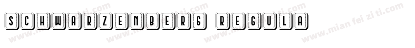 Schwarzenberg Regula字体转换
